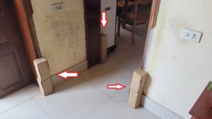 quy trình đặt hộp nhử mối trong phương pháp diệt mối tận gốc