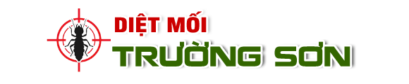Diệt Mối Trường Sơn | diệt mối tận gốc-bảo hành dài hạn