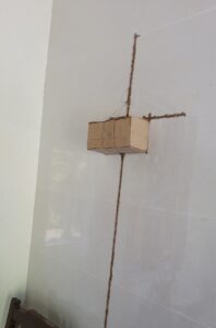 nhận biết có mối-đường mui đất của mối đi trên tường