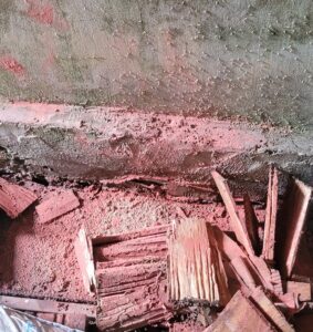 quy trình diệt mối tại Tiền Hải của Diệt Mối Trường Sơn tại nhà dân