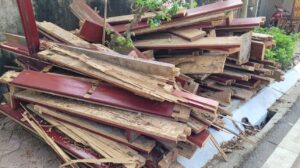 tác hại của mối-phá hoại cấu trúc nhà dân