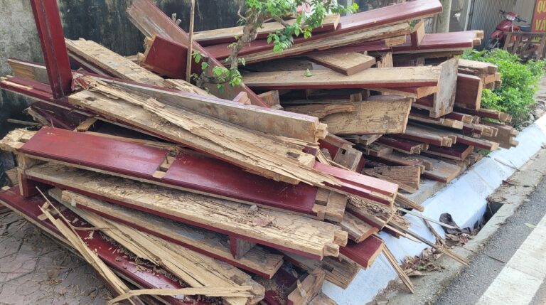 tác hại của mối-phá hoại cấu trúc nhà dân