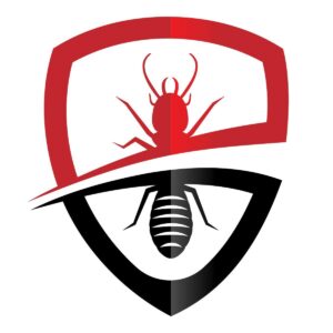 phòng chống mối