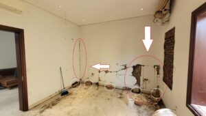 mối phá hoại biệt thự vườn ở Quận 2