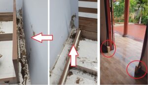 Mối phá hoại đồ gỗ trong nhà mái Thái mái Nhật tại Vụ Bản Nam Định