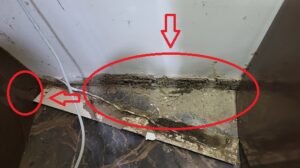 mối phá hoại nhà phố tại Phủ Lý Hà Nam