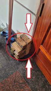 mối làm tổ trong nhà phố tại thành phố Nam Định